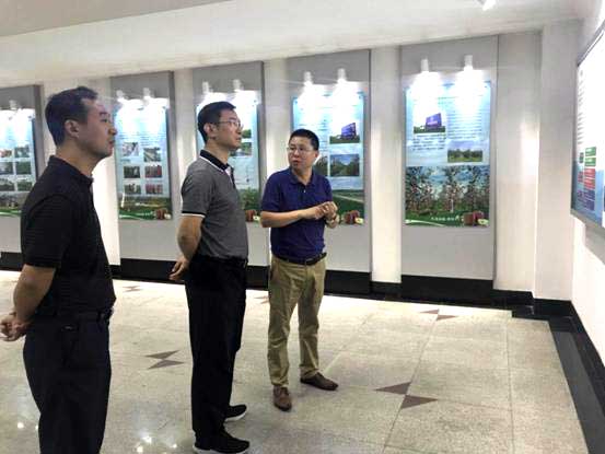 滚球买球的app官网