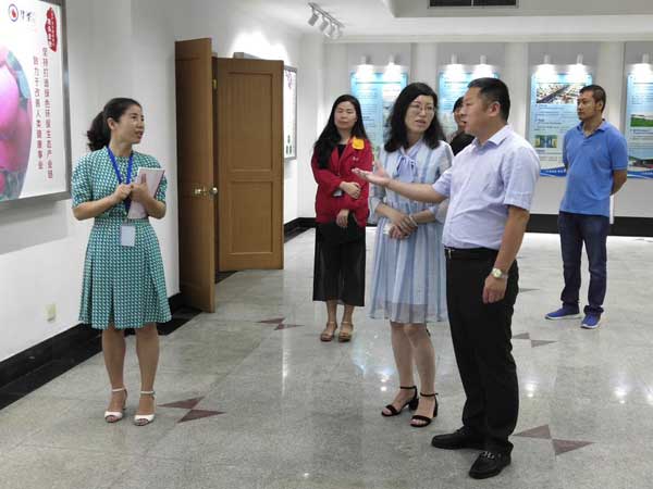 滚球买球的app官网