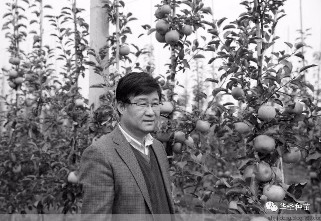 滚球买球的app官网