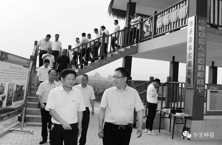 滚球买球的app官网