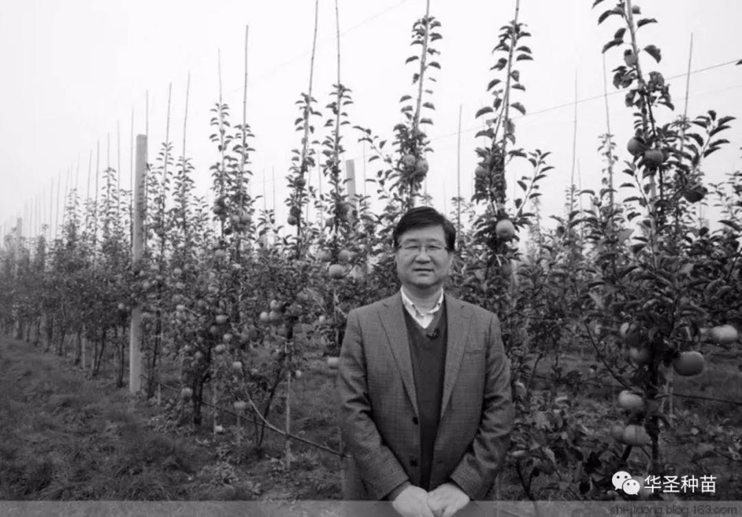 滚球买球的app官网