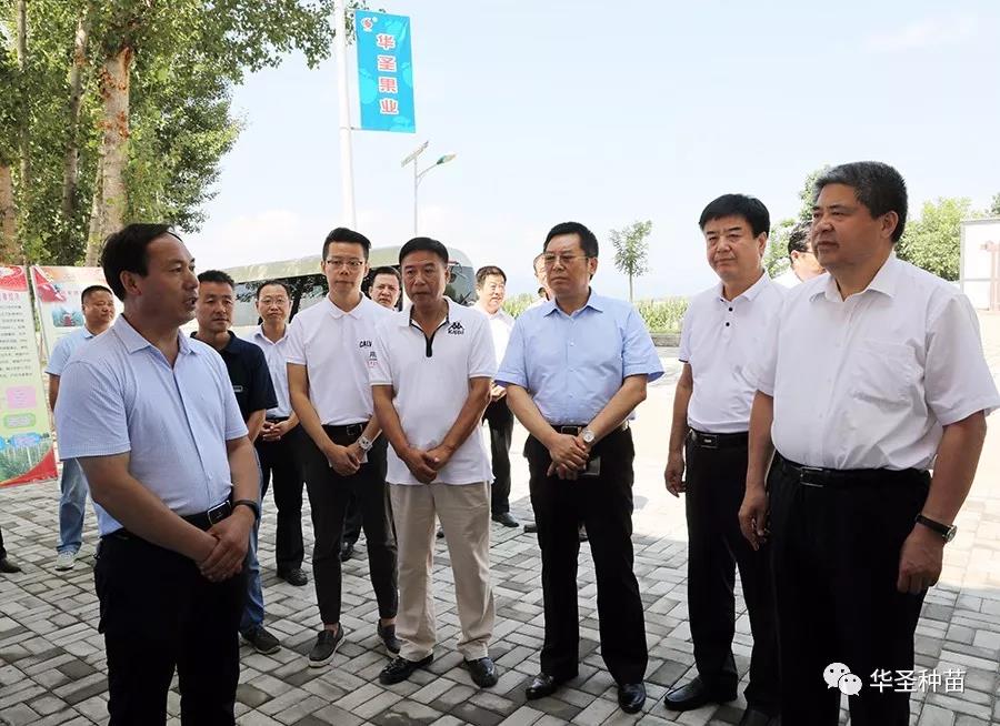 滚球买球的app官网