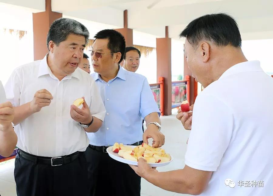 滚球买球的app官网