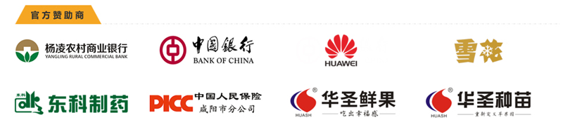 滚球买球的app官网
