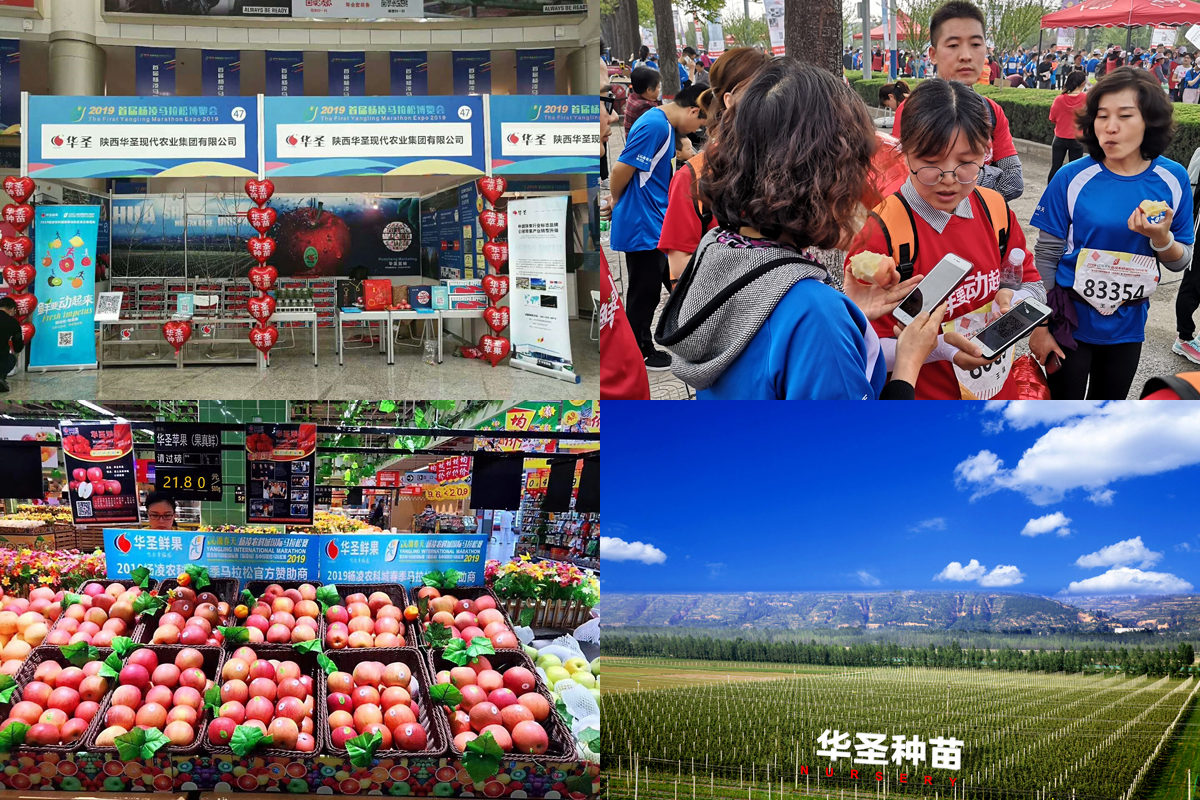 滚球买球的app官网