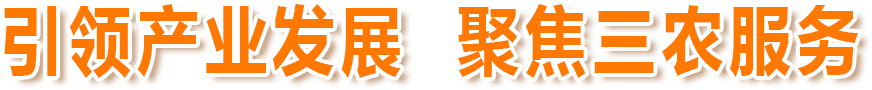 滚球买球的app官网