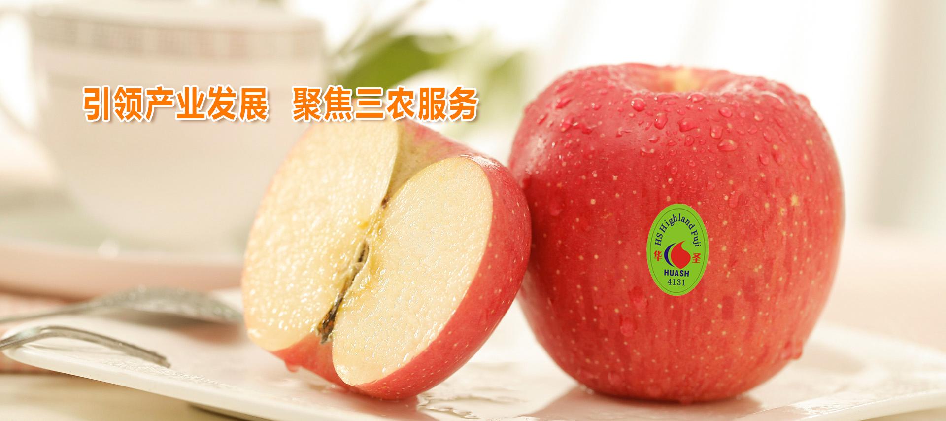 滚球买球的app官网