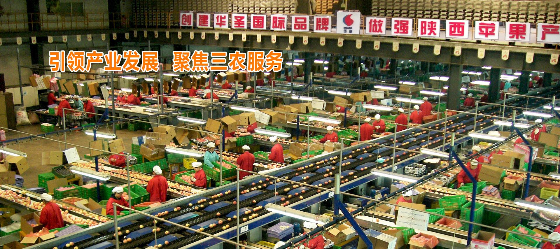 滚球买球的app官网