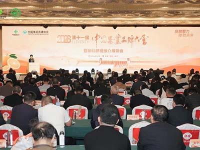 滚球买球的app官网