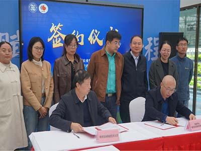 滚球买球的app官网
