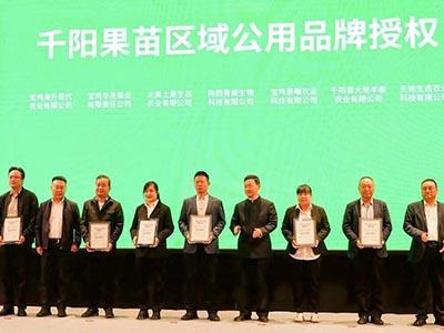 滚球买球的app官网