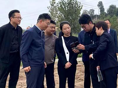 滚球买球的app官网