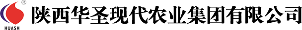 滚球买球的app官网